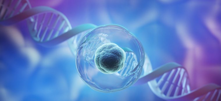 3d rendering of Human cell or Embryonic stem cell microscope background.